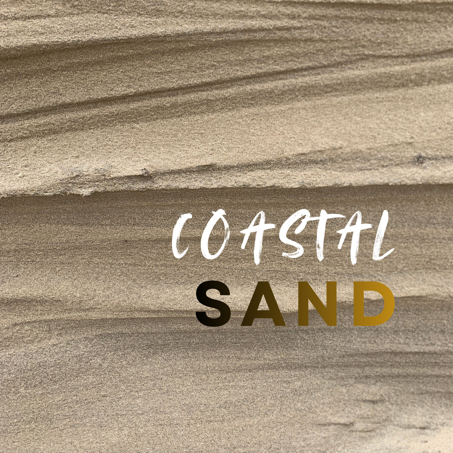 Coastal Sand
